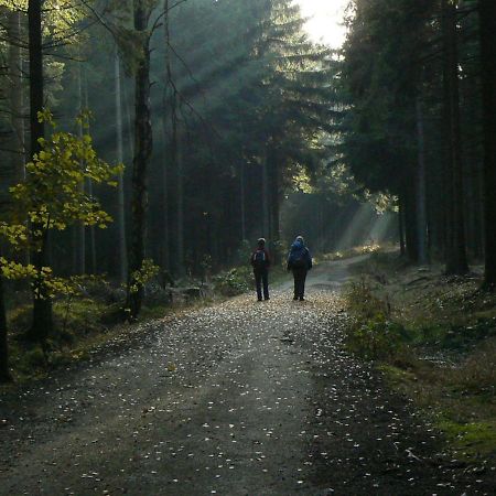 Apartmán Zimmervermietung-Heide-Fiege Hartmannsdorf bei Chemnitz Exteriér fotografie