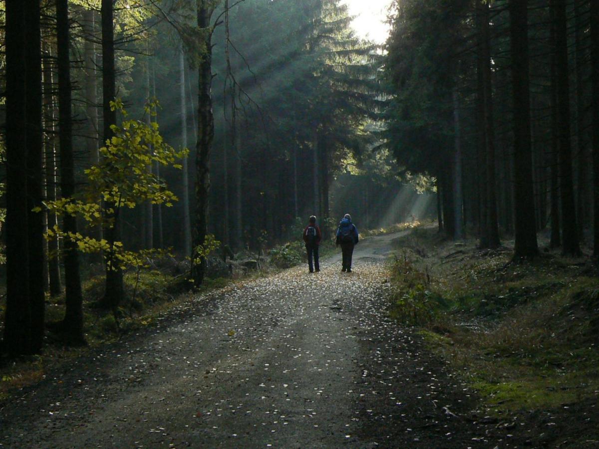 Apartmán Zimmervermietung-Heide-Fiege Hartmannsdorf bei Chemnitz Exteriér fotografie